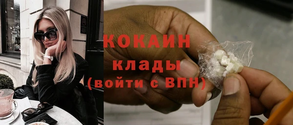 гидра Абаза