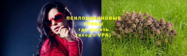 гашиш Алексин