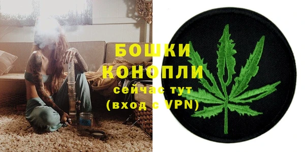 гидра Абаза