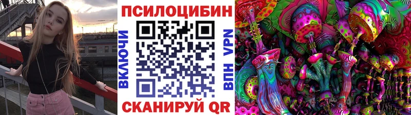купить наркотики сайты  Азнакаево  Галлюциногенные грибы Cubensis 